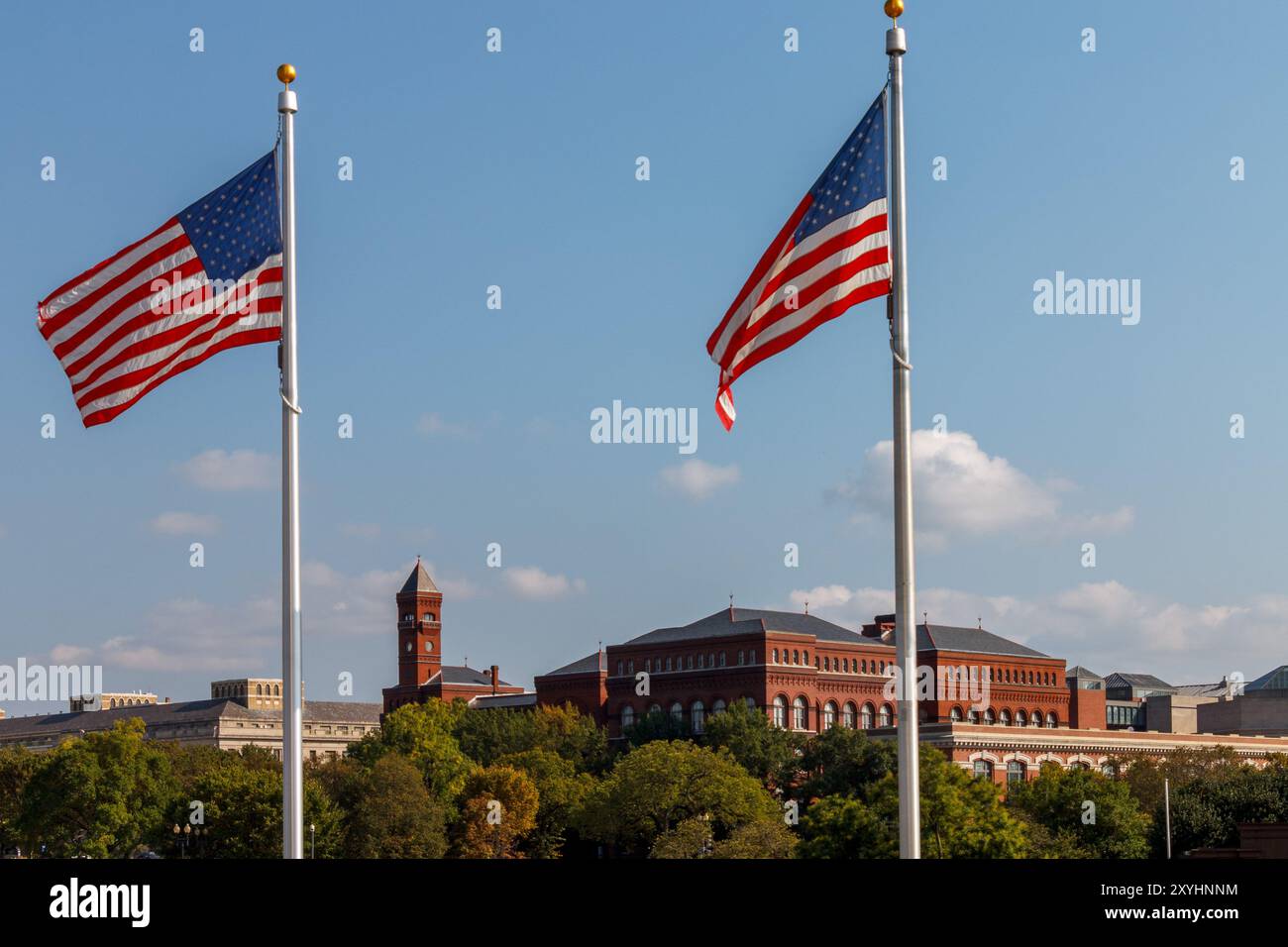 American Flags e il servizio forestale del Dipartimento dell'Agricoltura degli Stati Uniti si trovano nel centro commerciale, Washington DC, USA Foto Stock