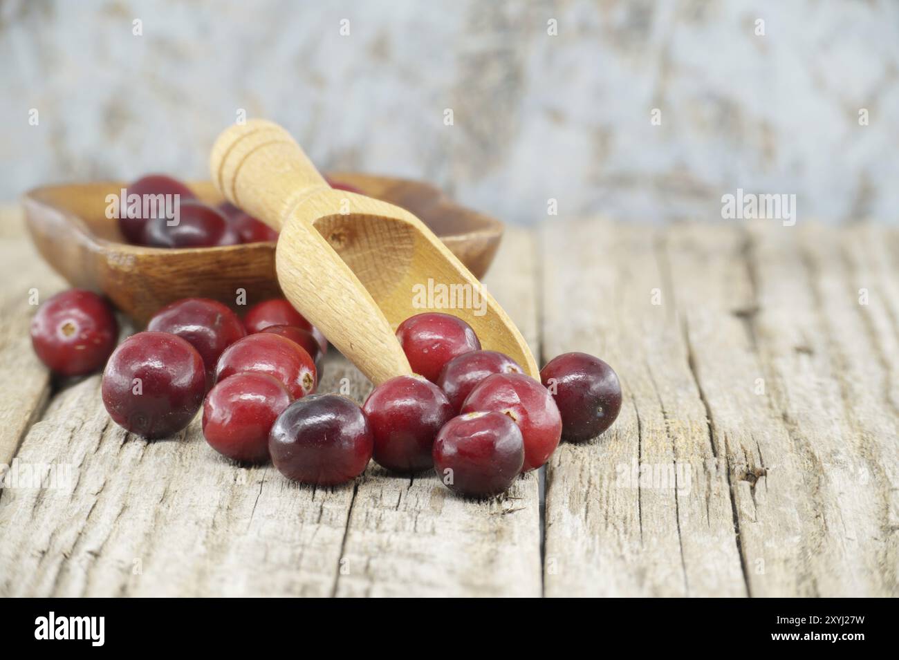 Scena rustica cucina con mirtilli rossi freschi un simbolo di salute e benessere, spesso indicato come un superfood Foto Stock