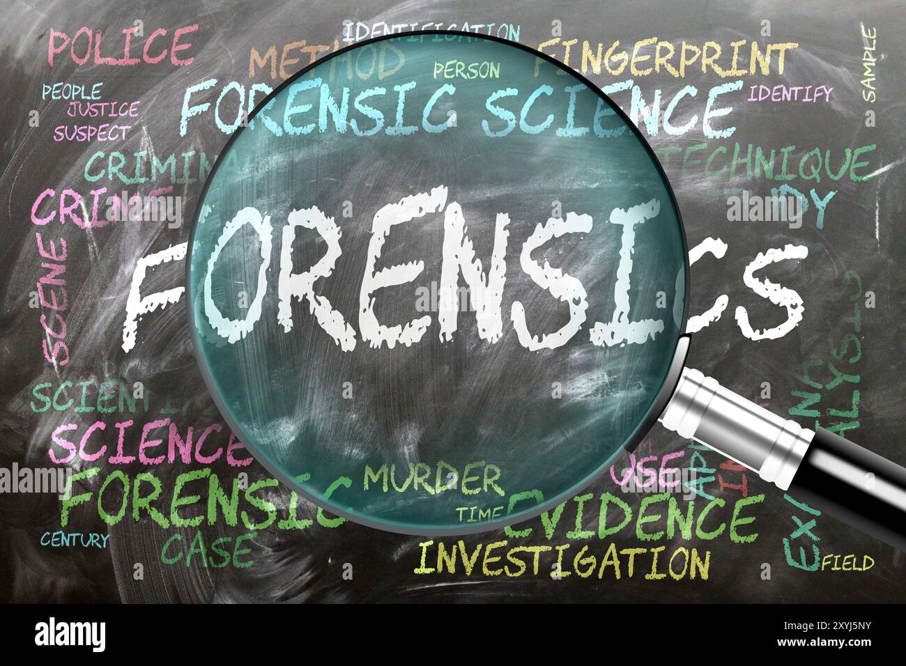 Analisi forense in corso, esame - sotto stretta ispezione. Argomenti e idee più importanti strettamente correlati alla scienza forense scritta su una lavagna INS Foto Stock