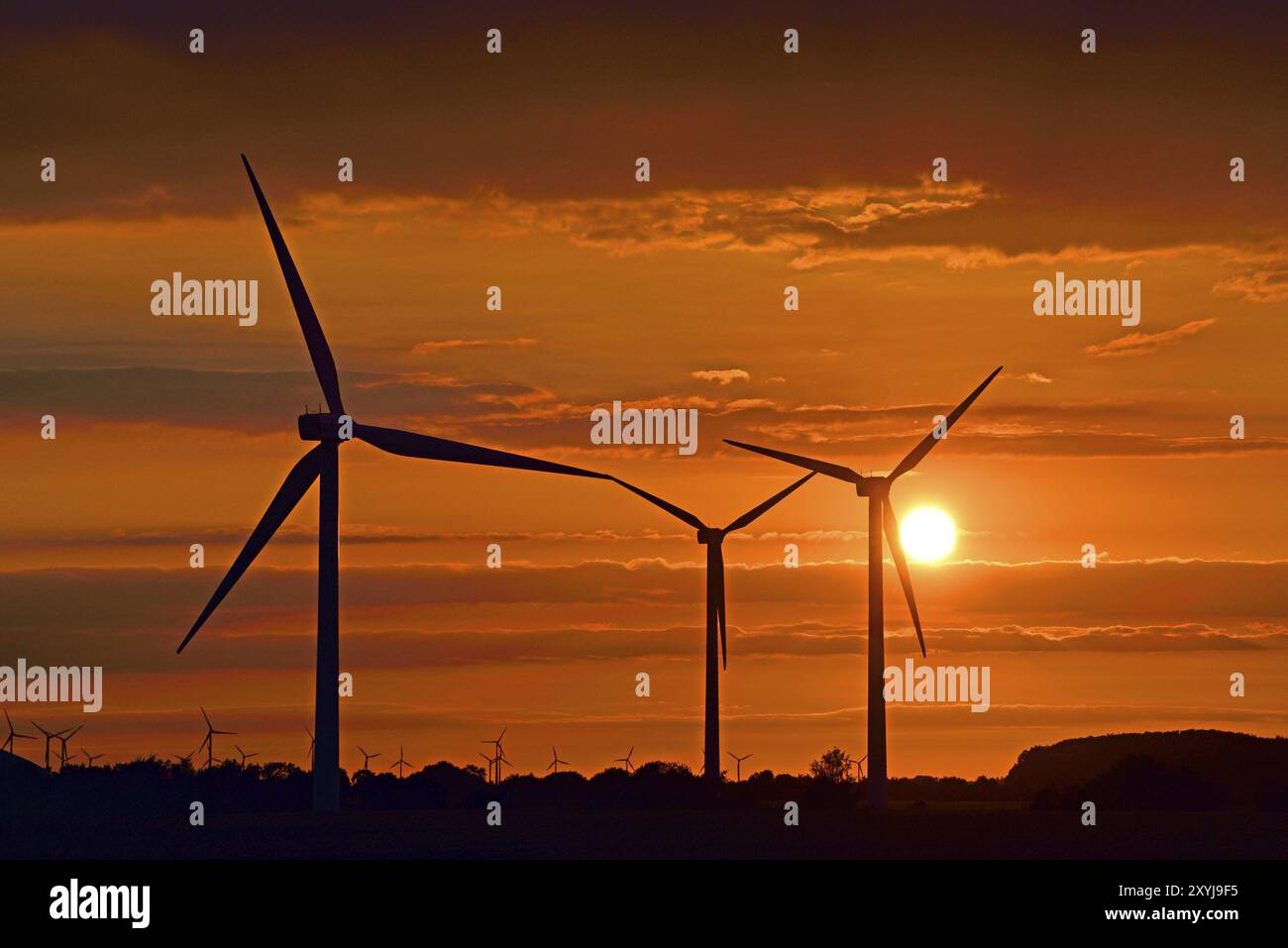 Europa, Germania, bassa Sassonia, centrali eoliche, produzione di energia, tramonto, turbine eoliche, turbine eoliche, energie alternative, tramonto, Amburgo, Amburgo, Feder Foto Stock