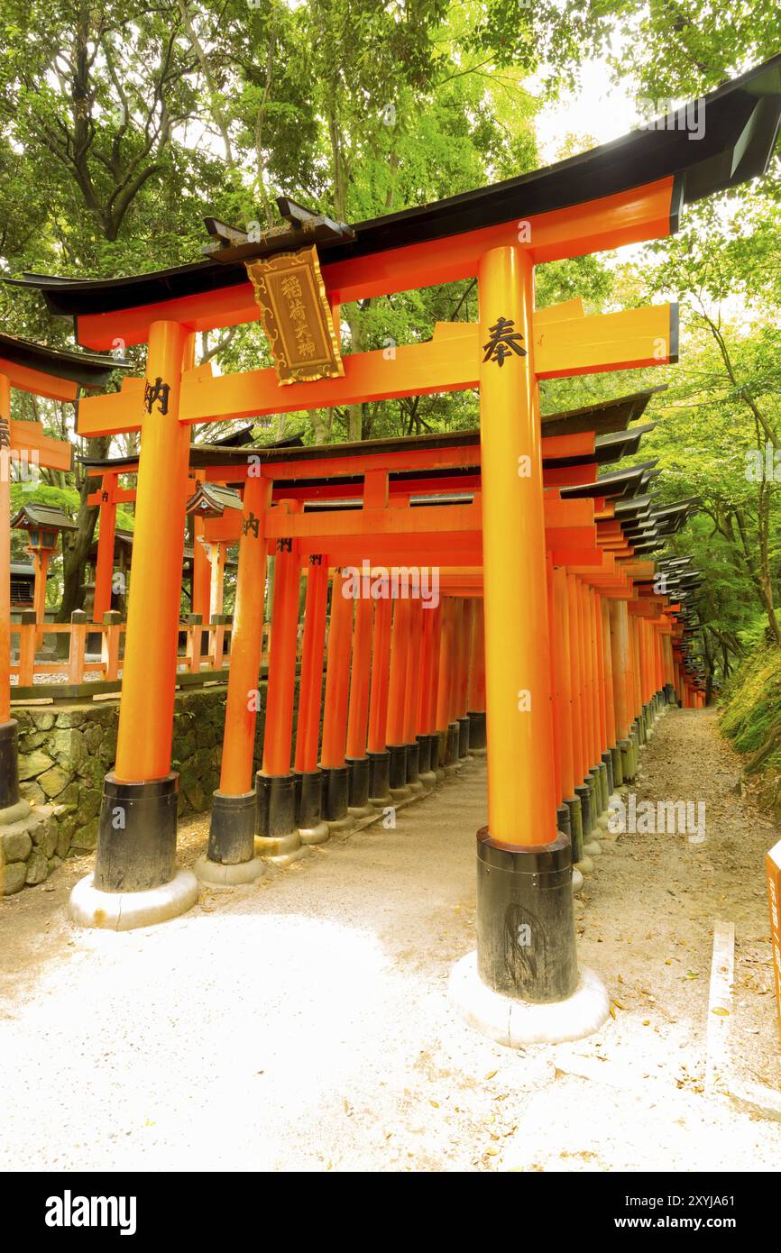 Nessuna persona presente all'ingresso colorato della foce del cancello rosso torii che si ripete lungo un sentiero di pietra all'interno di una foresta ricoperta di alberi presso il Fushimi Inari T. Foto Stock