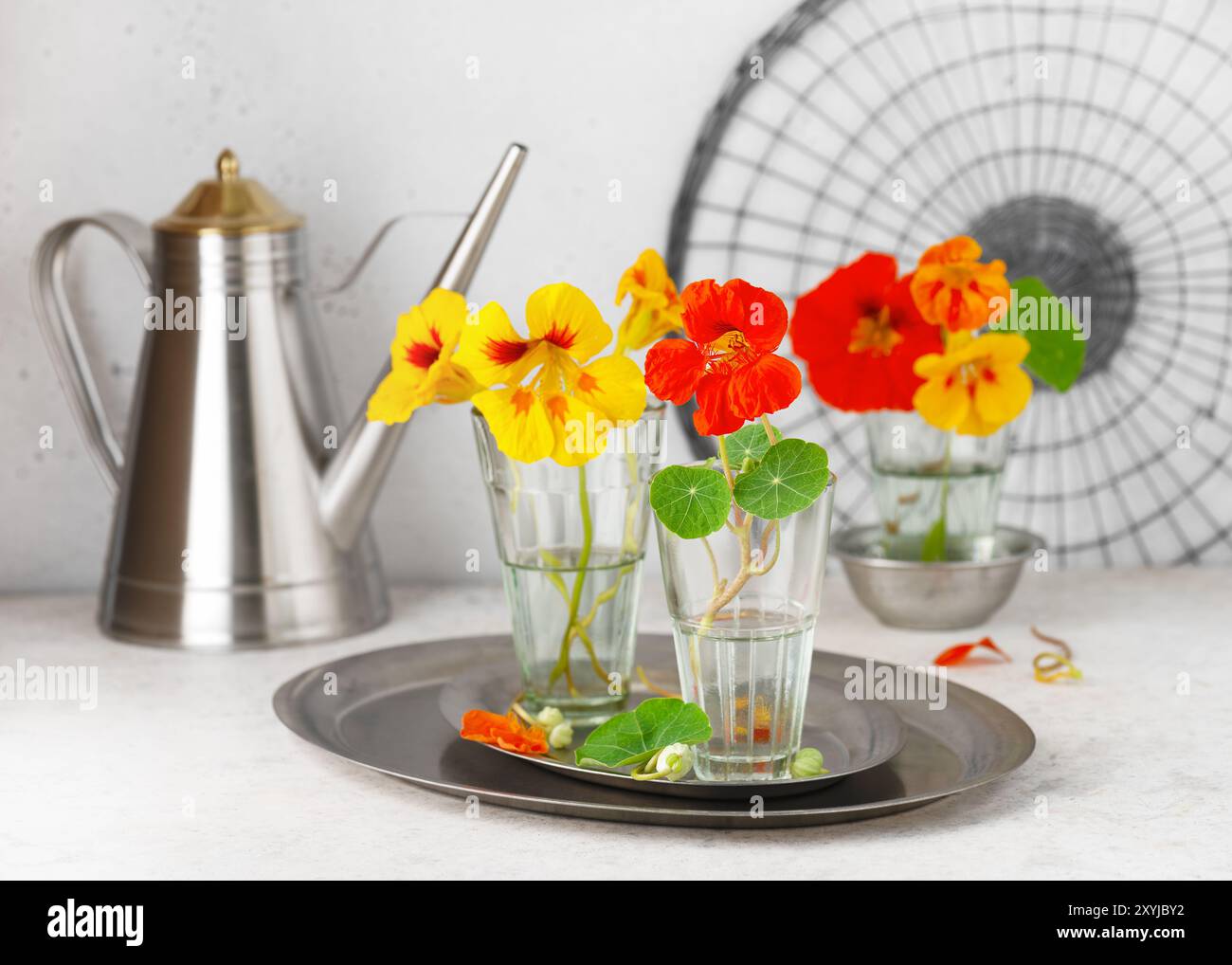 Colorato nasturtium o fiori di crescione indiano in piccoli bicchieri sul tavolo da cucina chiaro. Fiori commestibili, foglie utilizzate come ingrediente alimentare Foto Stock