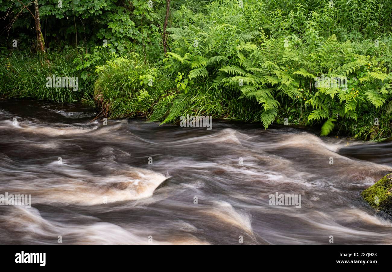 Immagine di mezmerising acqua fluviale veloce, dopo una tempesta nel Lake District Foto Stock