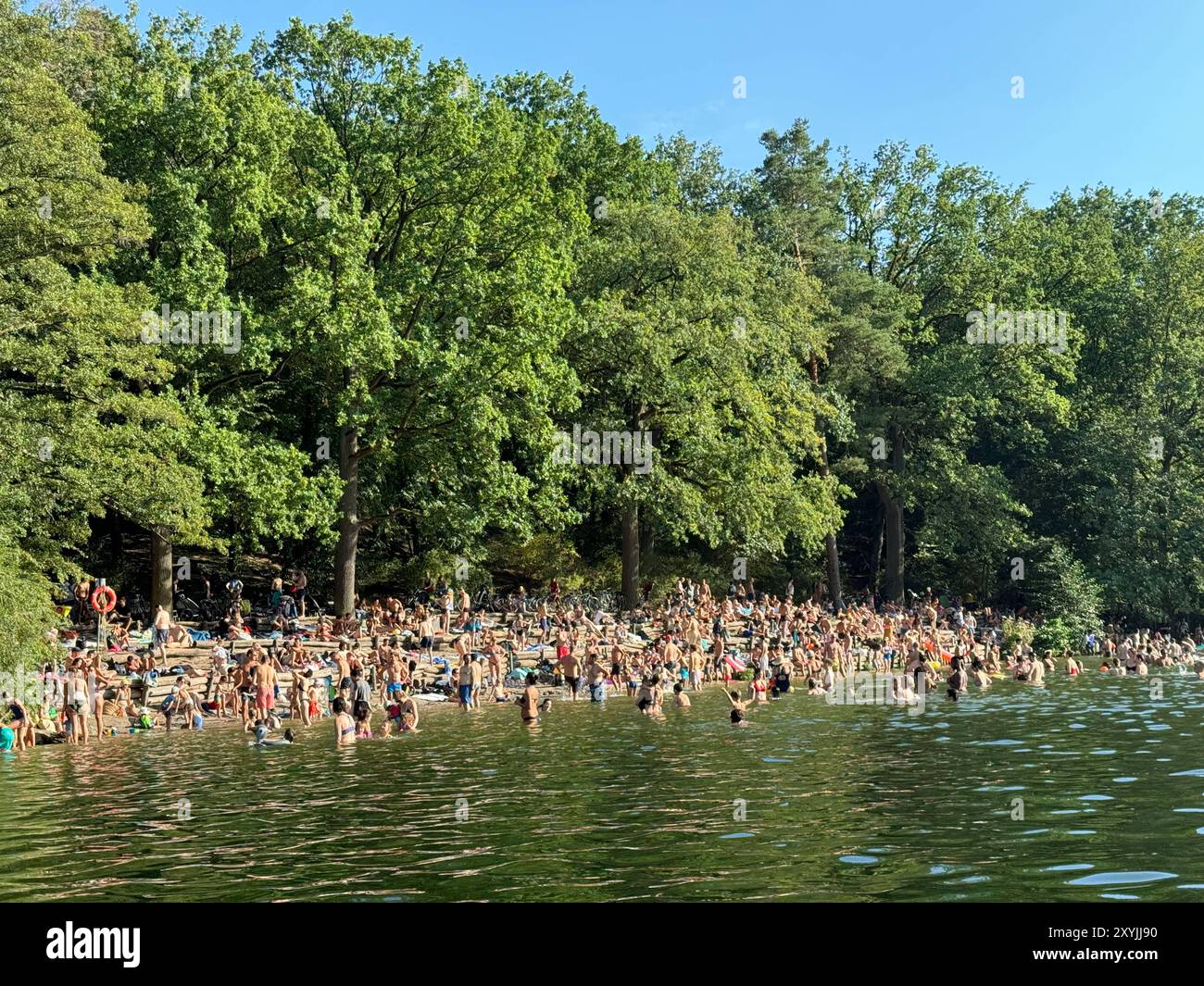 Sommerferien 2024 Berlin, Deutschland -29.8,2024: Menschen geniessen das Wasser beim Baden an der Krummen Lanke, einem SEE in Berlin-Zehlendorf., bei 34 Grad Celsius. AM Sonntag enden die Sommerferien a Berlino. Berlino Foto Stock