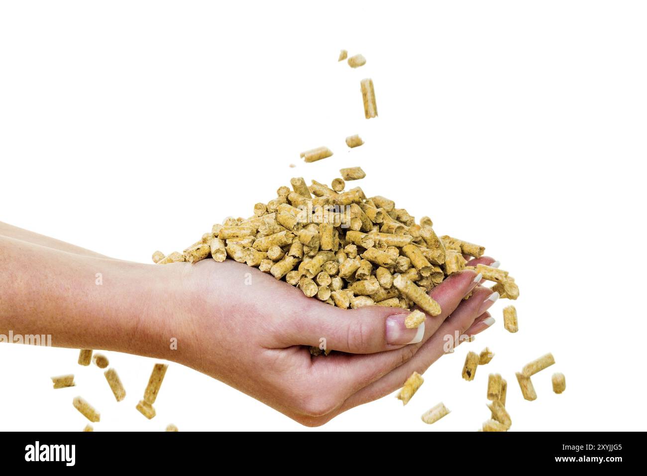 Mano con pellet, riscaldamento alternativo in inverno, Austria, Europa Foto Stock