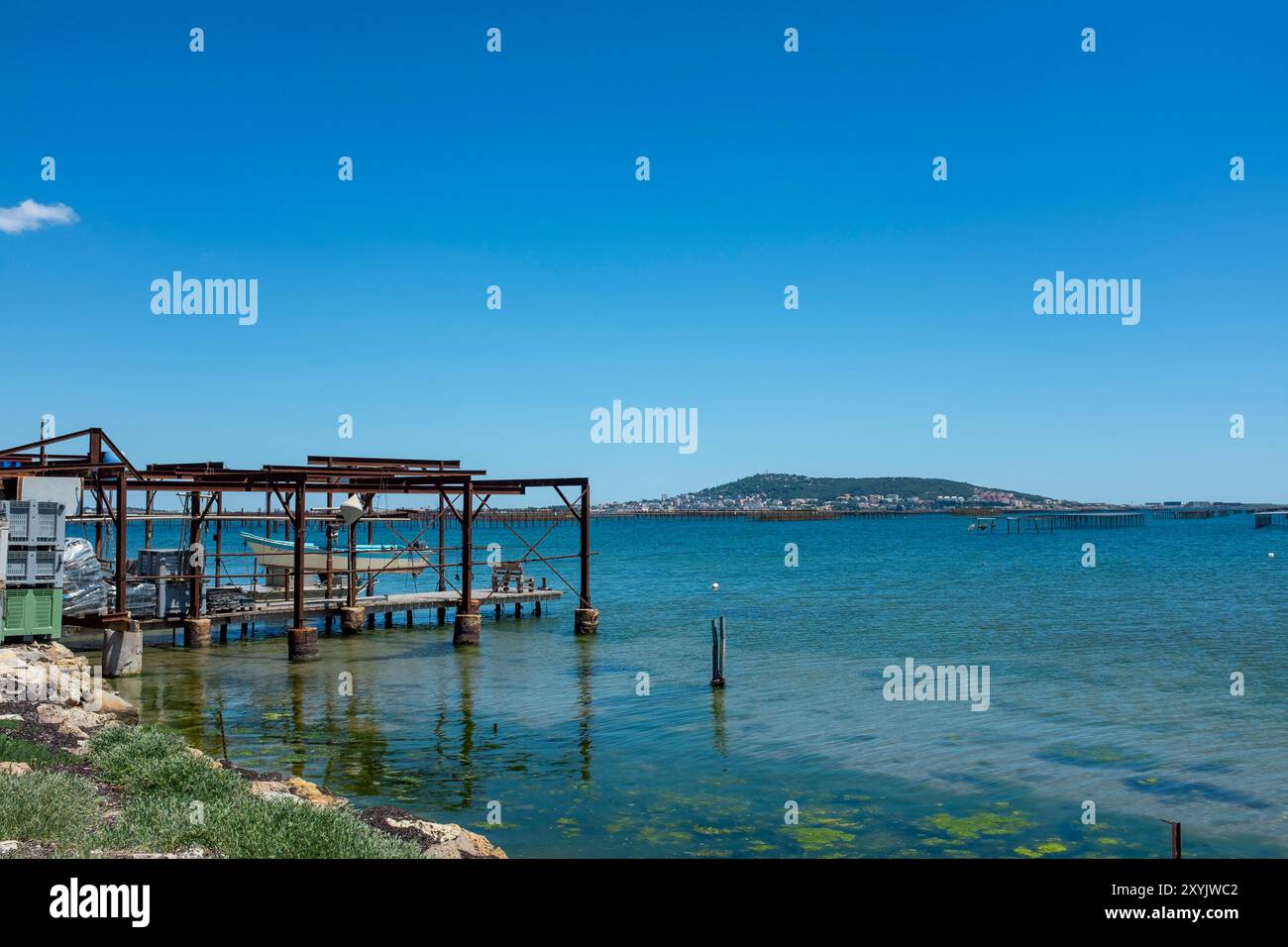 Molo degli allevatori di ostriche ai margini di Etang de Thau, Meze, Occitanie, Francia, Europa Foto Stock