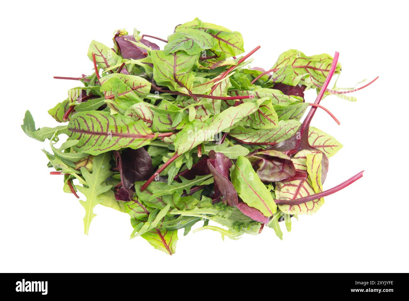 Mescolare le foglie di lattuga. Vista dall'alto. Natura morta vegetale. Mangiare sano. Isolato su sfondo bianco. Foto Stock