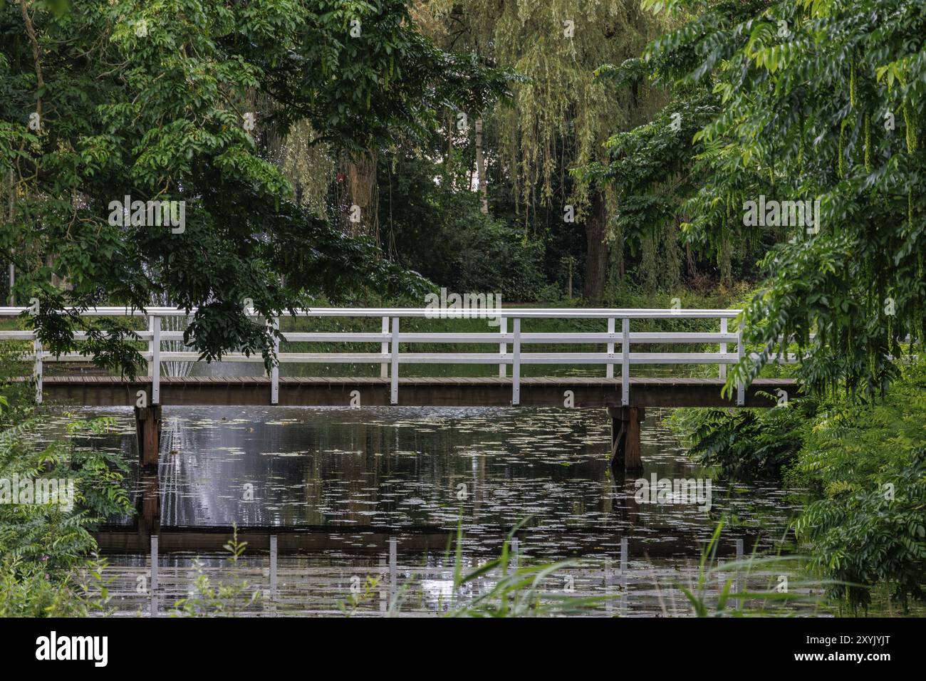 Un ponte di legno su uno stagno con ninfee, nel mezzo di un verde e tranquillo paesaggio naturale, 2 Foto Stock