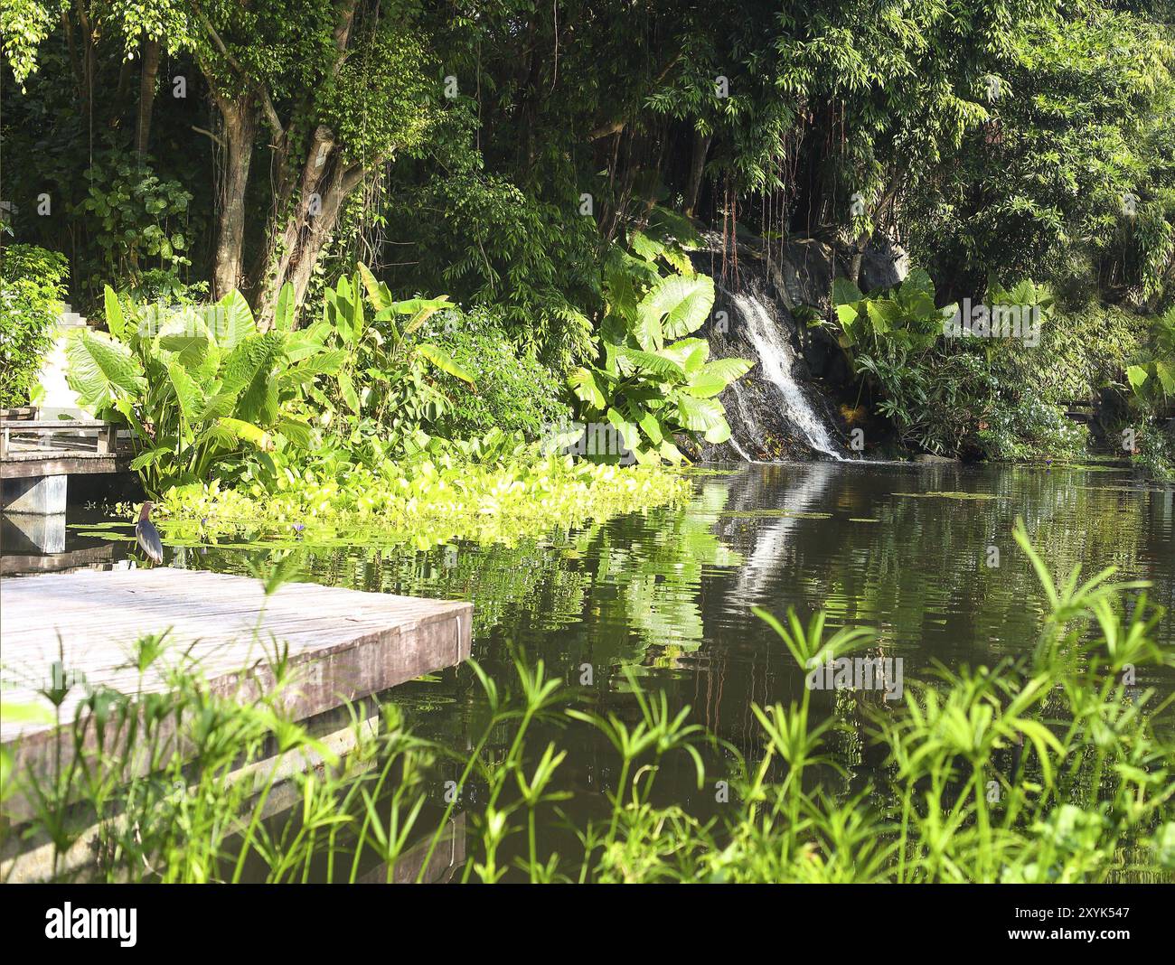 Bella piccola cascata sul lago nella foresta tropicale. Della Thailandia Foto Stock