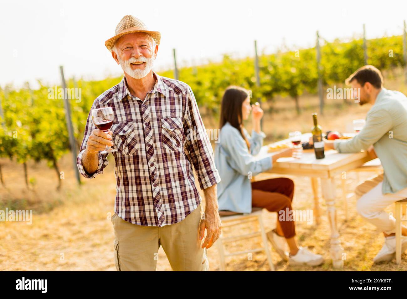 Sotto il caldo bagliore del tramonto, un gentiluomo sorridente solleva un bicchiere di vino rosso, circondato da amici che assaporano momenti deliziosi tra lussureggianti vigneti Foto Stock
