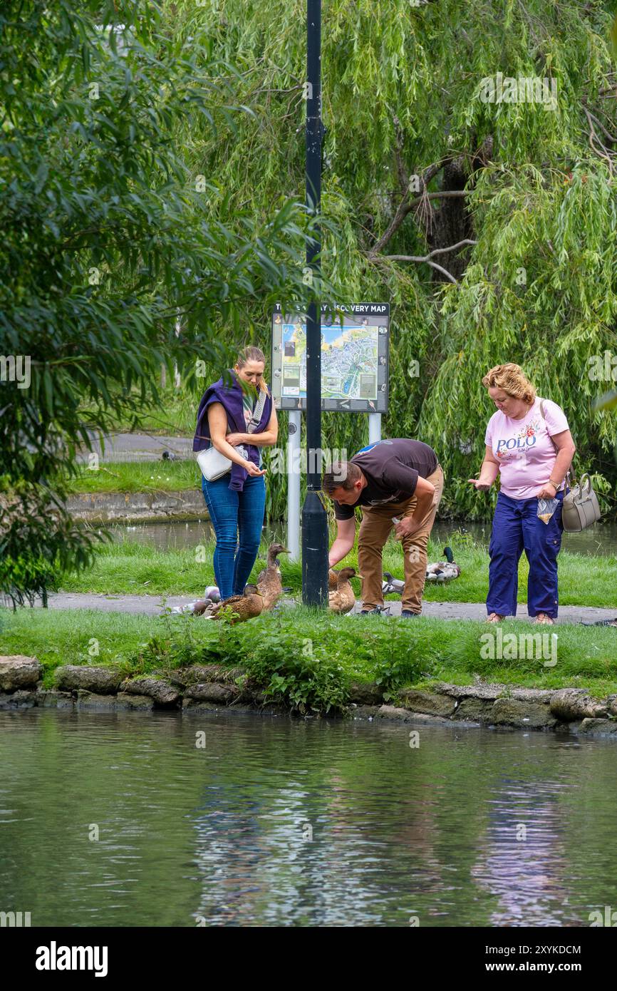 Persone che danno da mangiare alle anatre nei Trenance Gardens di Newquay, in Cornovaglia, nel Regno Unito. Foto Stock