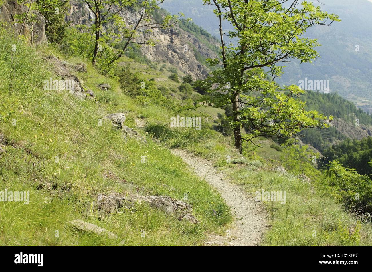 Sentiero escursionistico della Valle d'Aosta 02 Foto Stock