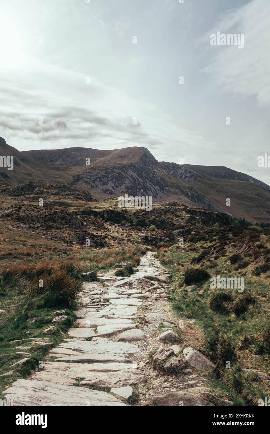 Sentiero in pietra attraverso le montagne gallesi Foto Stock