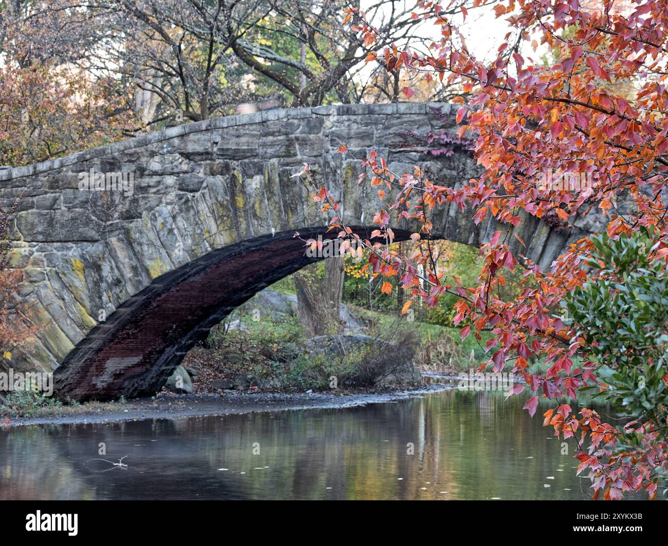 Gapstow Bridge a Central Park nel tardo autunno, mattina presto Foto Stock