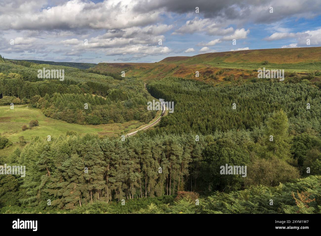 Vicino Levisham, North Yorkshire, Inghilterra, Regno Unito: 13 Settembre 2018: un treno della storica North Yorkshire Moors passante ferroviario Newtondale, visto da S Foto Stock