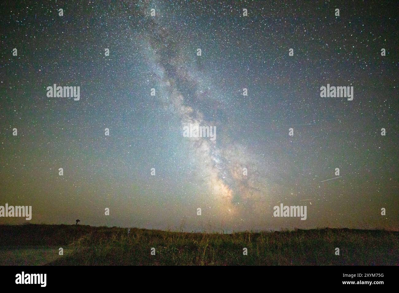 Cielo notturno con il nocciolo della via lattea sull'erba verde in un paesaggio di campagna. Brittany, Francia. Sfondo con spazio di copia. Foto Stock