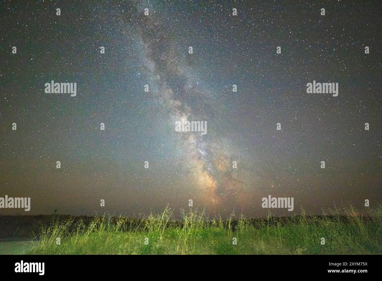 Cielo notturno con il nocciolo della via lattea sull'erba verde in un paesaggio di campagna. Brittany, Francia. Sfondo con spazio di copia. Foto Stock