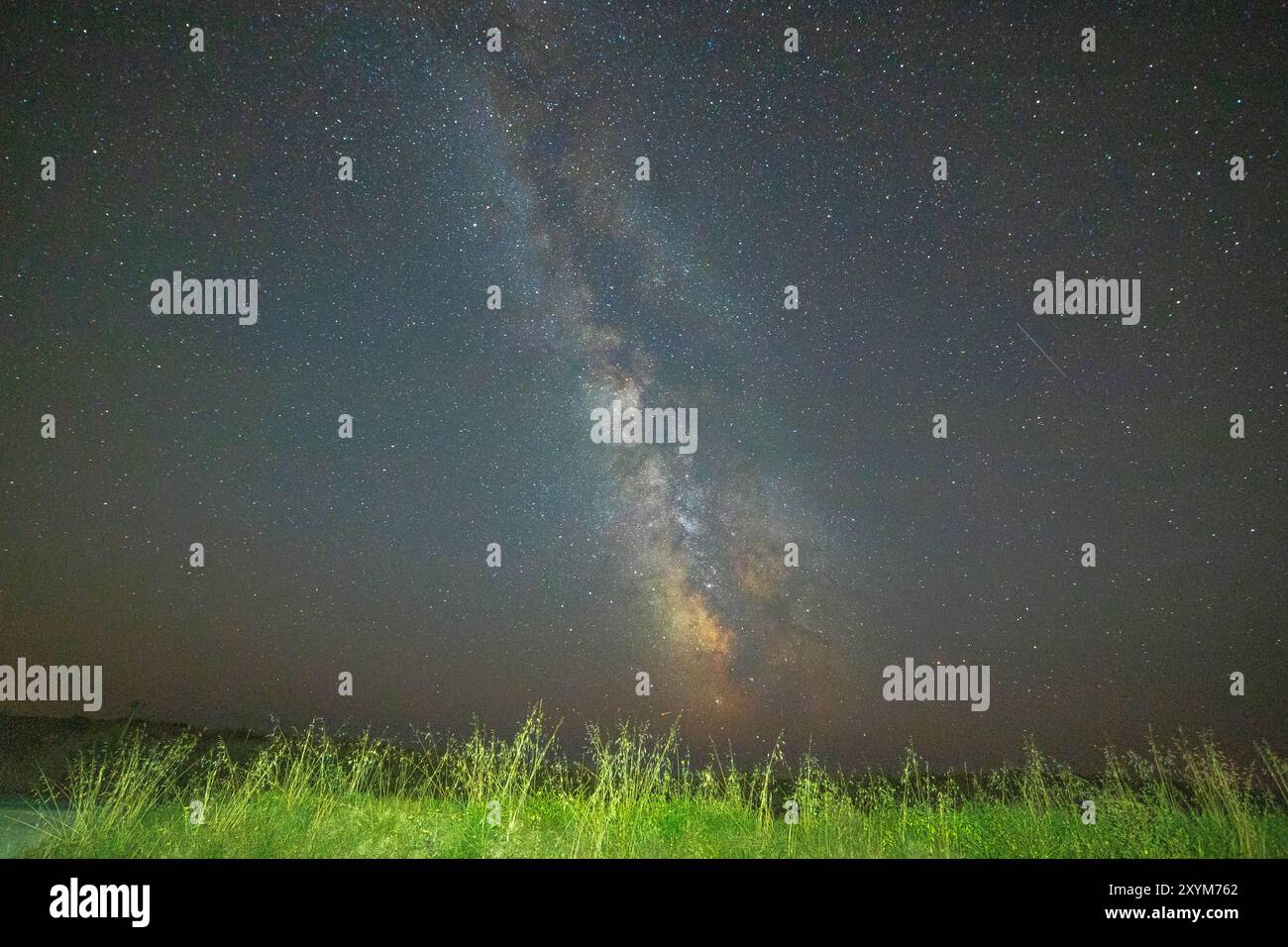 Cielo notturno con il nocciolo della via lattea sull'erba verde in un paesaggio di campagna. Brittany, Francia. Sfondo con spazio di copia. Foto Stock