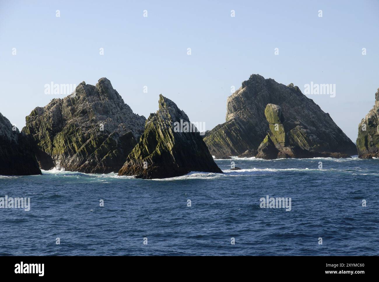 Shag Rocks, circa 130 miglia ad ovest della Georgia del Sud nel sud dell'Oceano Atlantico, con l'allevamento shags sulla parte superiore Foto Stock