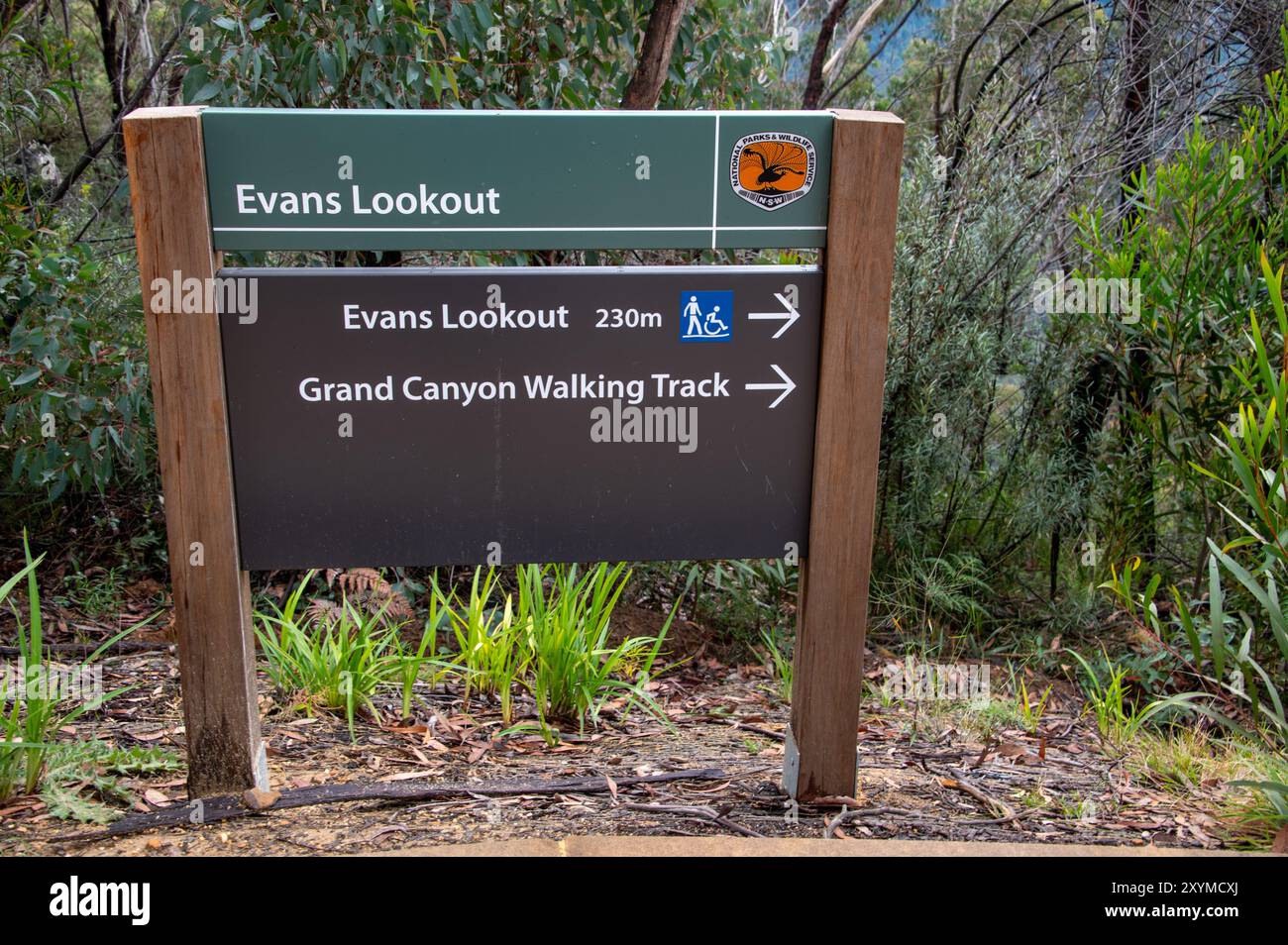 Un cartello per i visitatori vicino all'Evans Lookout nel Grose Wilderness vicino a Blackheath, una piccola città nelle Blue Mountains del nuovo Galles del Sud, Australia. Foto Stock