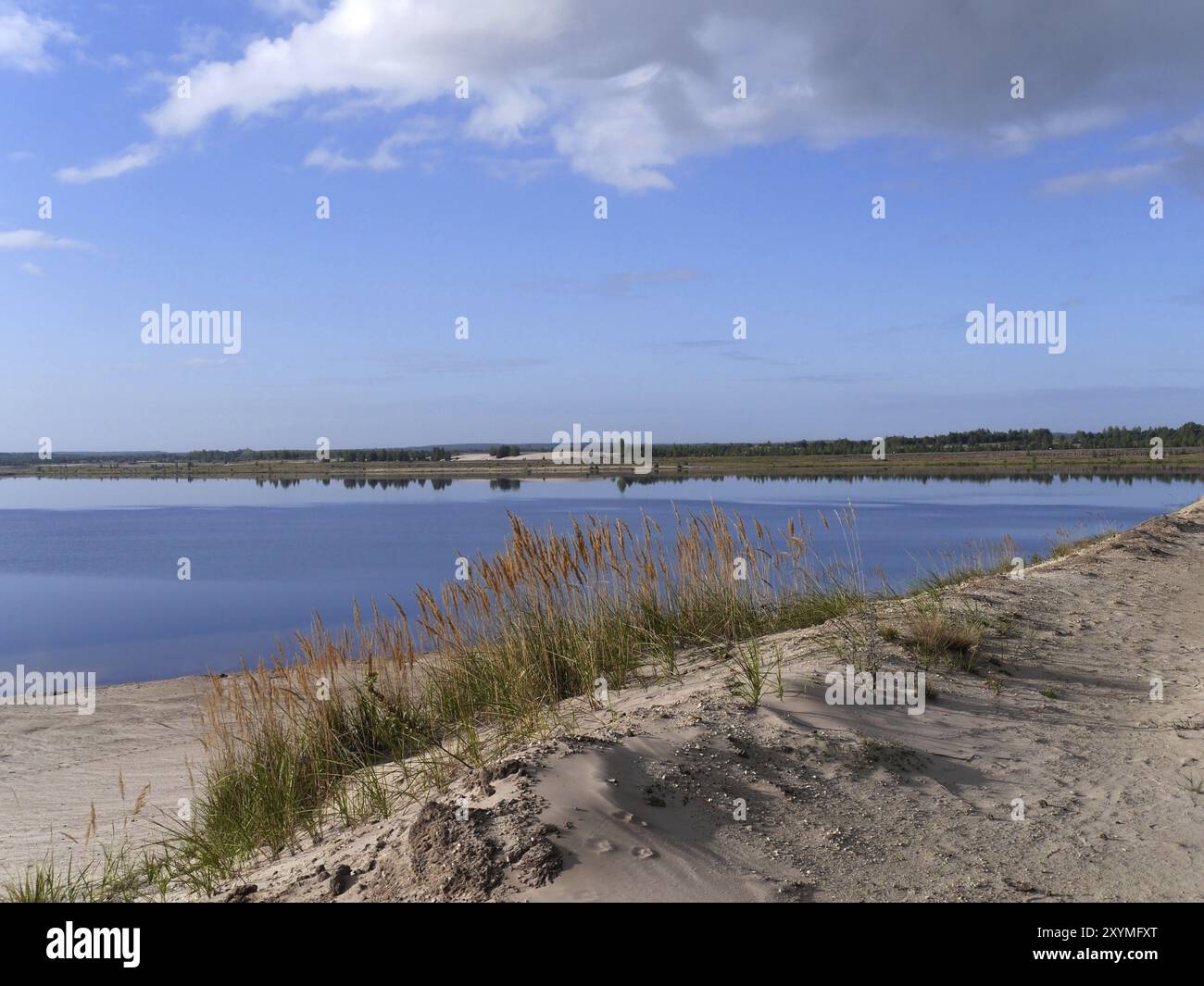 Questo lago è un lago artificiale nel distretto di Oberspreewald Lausitz, Brandeburgo, Germania. Si trova nel Lusaziano, una catena d'arte Foto Stock