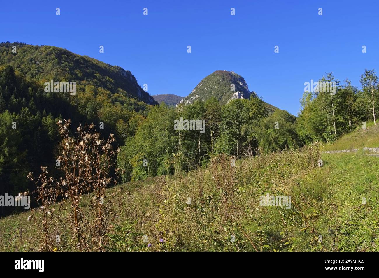 Castello di Montsegur nel sud della Francia, castello di cathare Montsegur nel sud della Francia Foto Stock