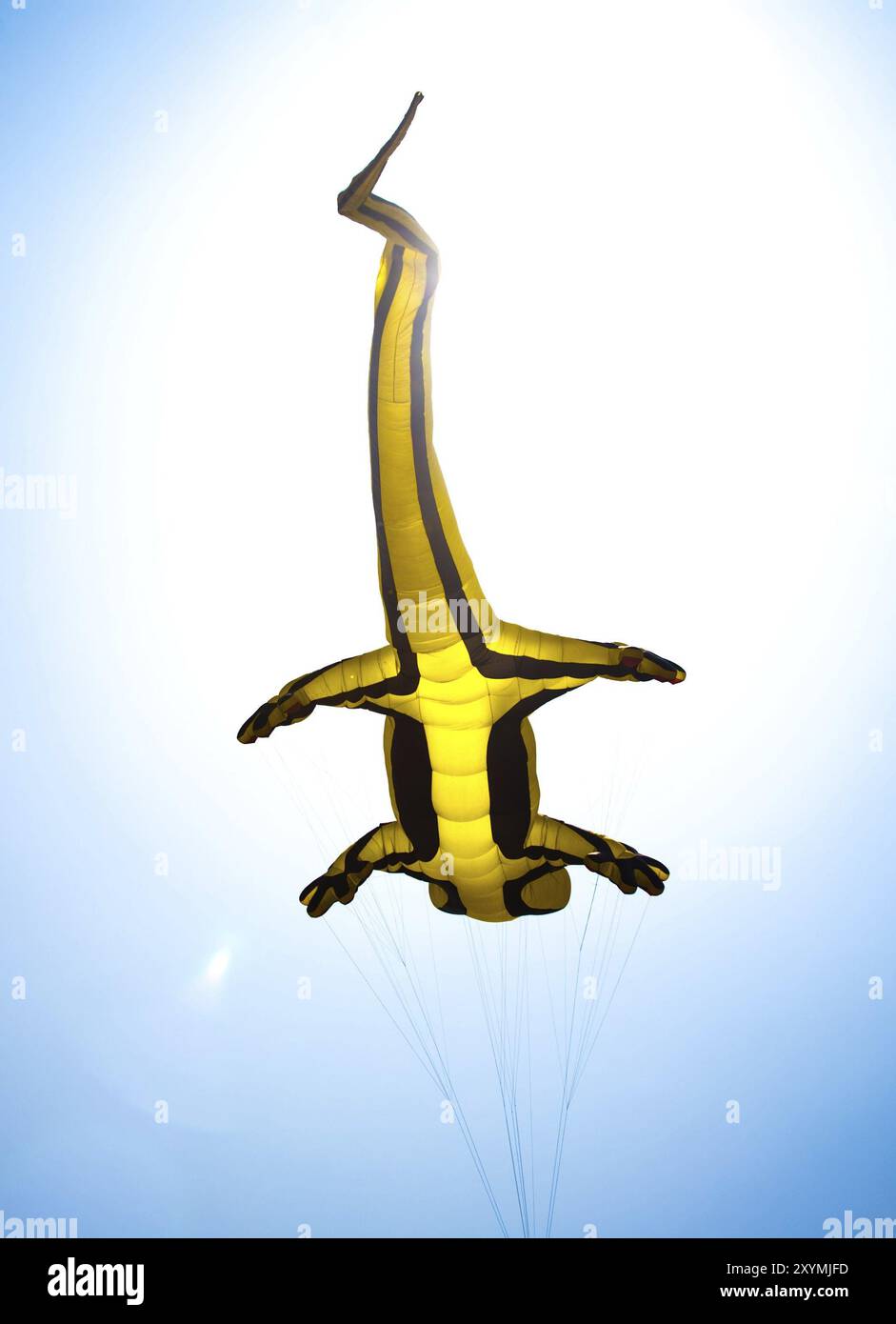 CHA-AM - 13 MARZO: LIZARD. 11° Festival internazionale degli aquiloni in Thailandia il 13 marzo 2010 a Naresuan Camp, Cha-am, Thailandia, Asia Foto Stock