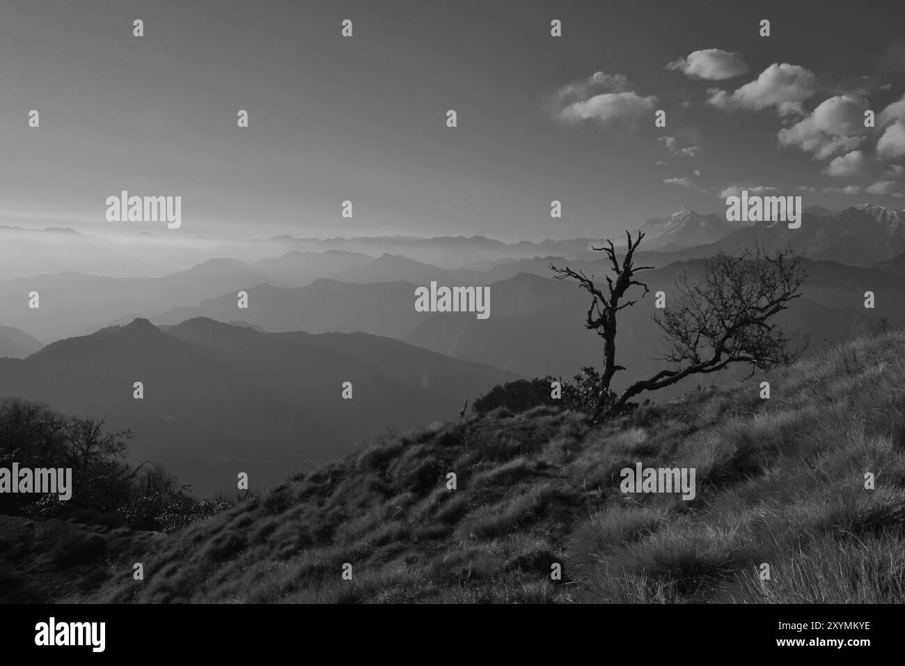 Giorni di autunno nell'Annapurna Conservation Area Foto Stock
