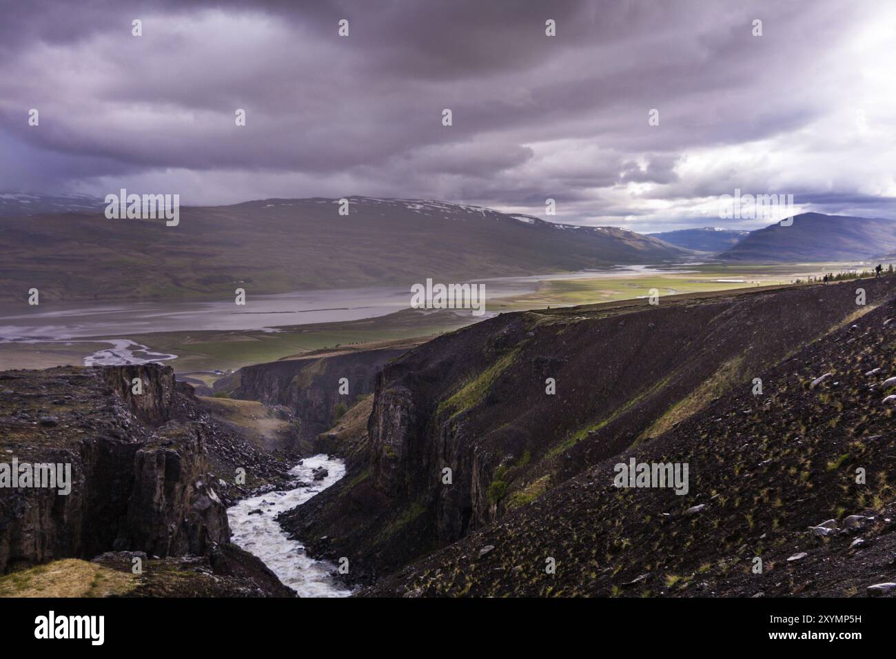 Fiume bianco che scorre attraverso la roccia vulcanica a Hengifoss in Islanda Foto Stock