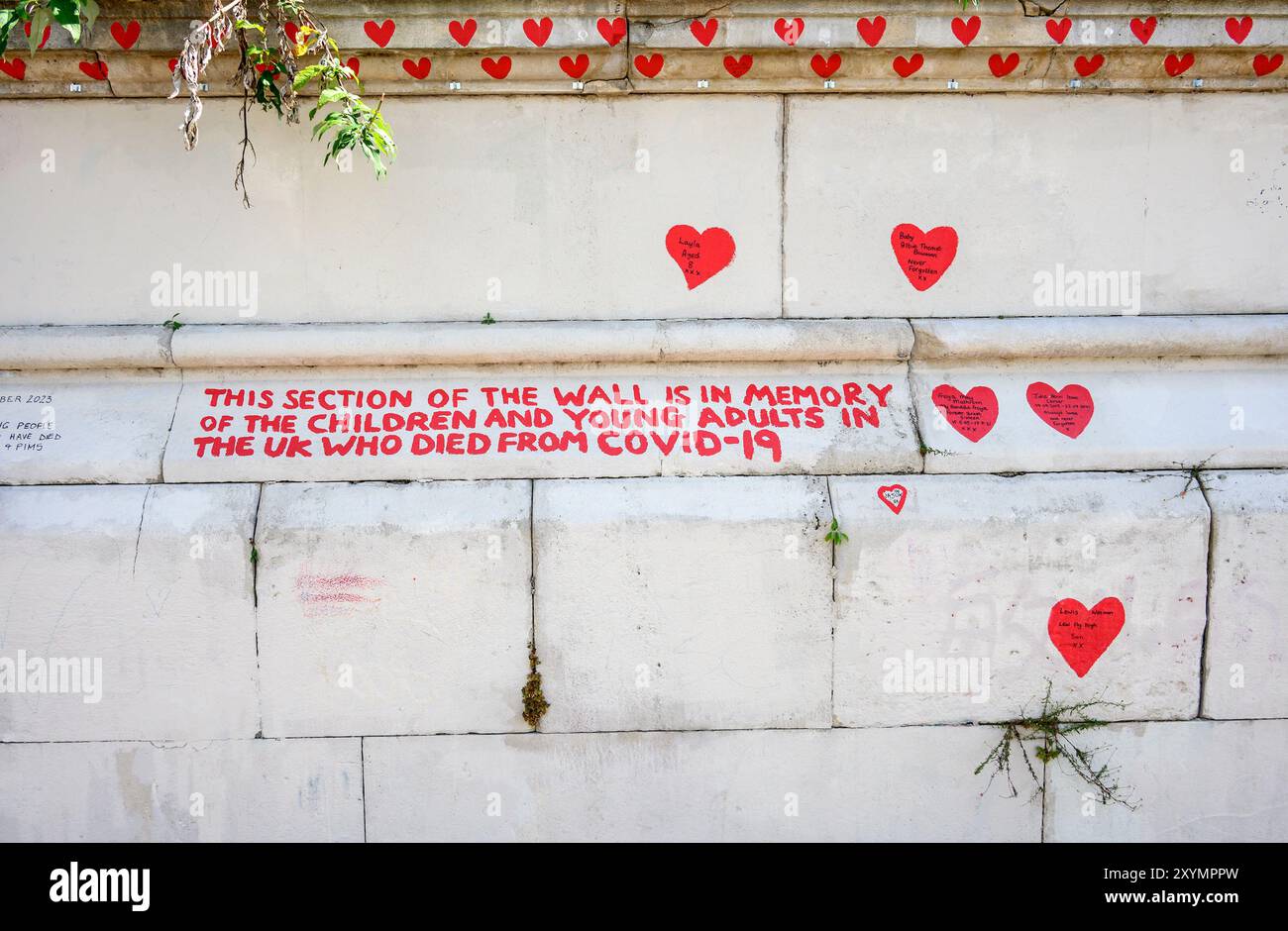 Londra, Regno Unito. National Covid Memorial Wall sulla South Bank, iniziato nel 2021 da volontari per ricordare coloro che morirono durante la pandemia di Covid. Agosto Foto Stock