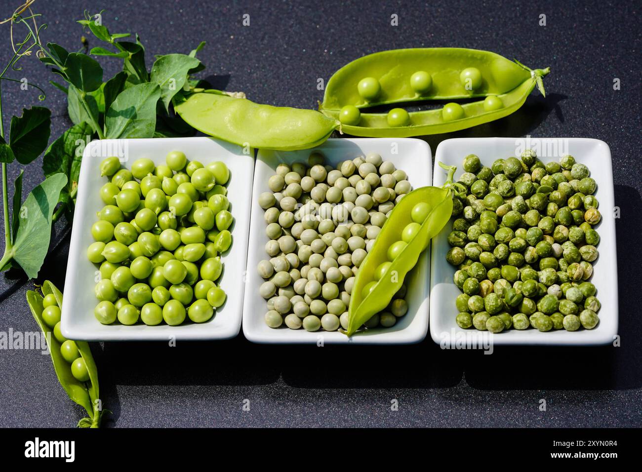 Pisello da giardino (Pisum sativum), pianta di pisello, cialde aperte e diversi piselli crudi su piatti Foto Stock