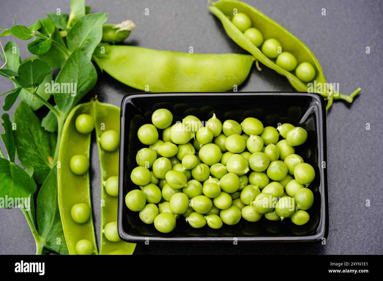 Pisello da giardino (Pisum sativum), pianta di piselli, baccelli aperti e piselli crudi su un piatto Foto Stock