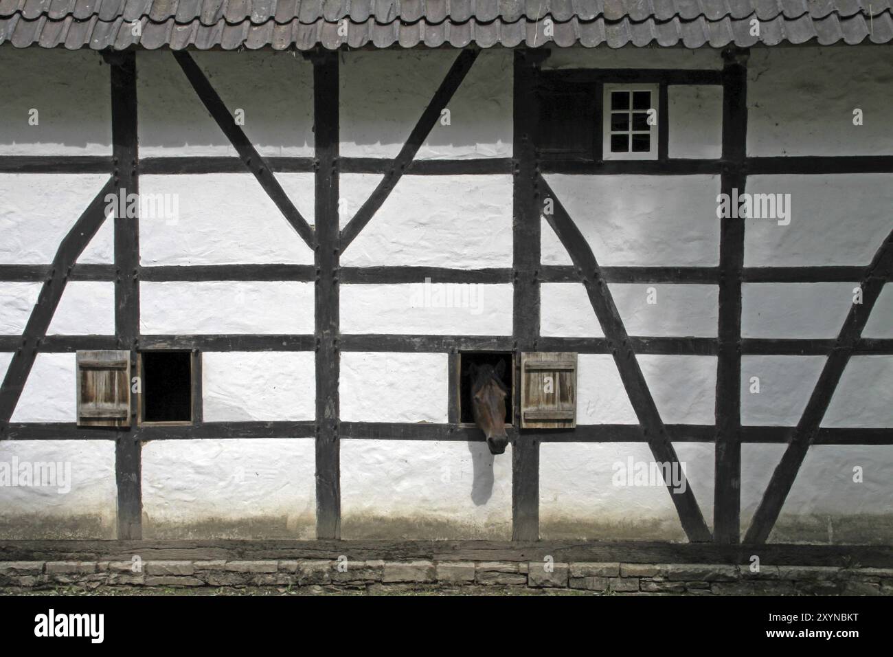 Horse guarda fuori da una finestra in una casa per metà in legno Foto Stock