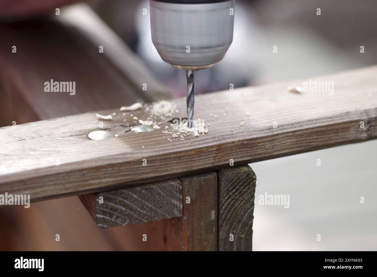Trapano per legno, trucioli di legno, foro, tavola, fai da te, primo piano di un avvitatore a batteria con trapano per legno. Viene praticato un foro nel legno per mantenere un legno vecchio Foto Stock