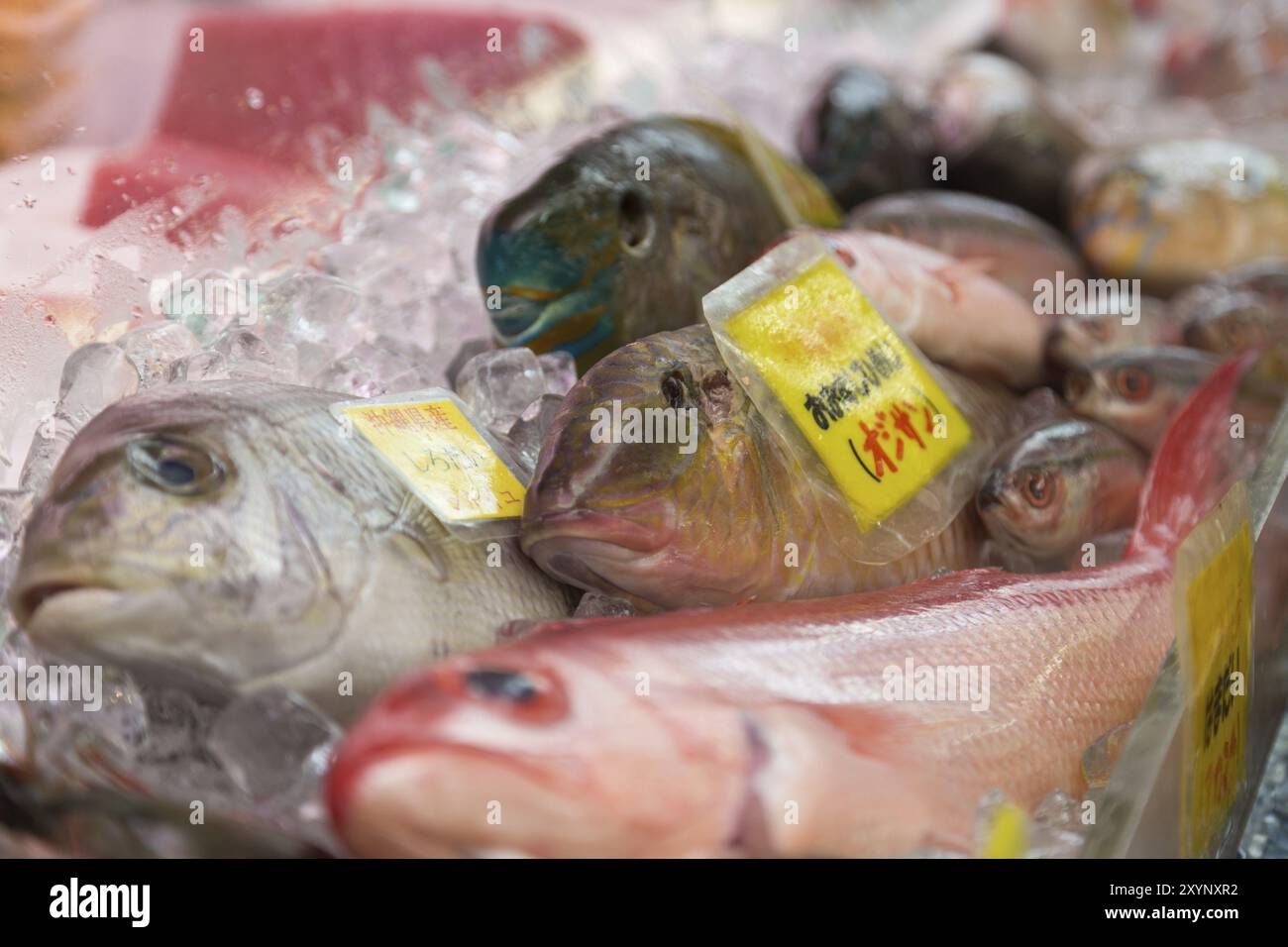 Pesce diverso su ghiaccio per la vendita sul mercato di Okinawa, Giappone, Asia Foto Stock