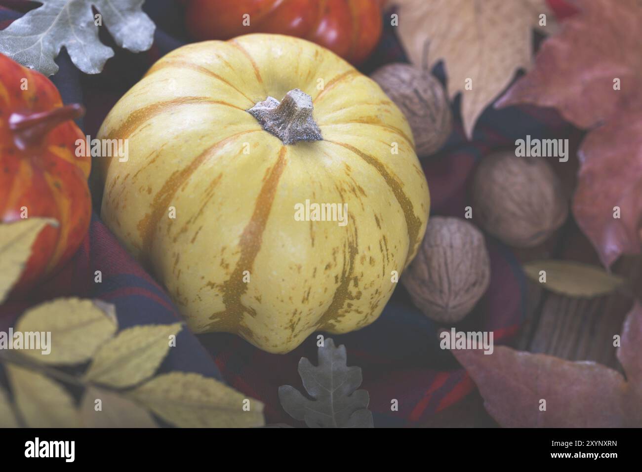 halloween autunnale o ringraziamento, zucche gialle e orva e foglie colorate, vecchio palco in legno di fienile Foto Stock