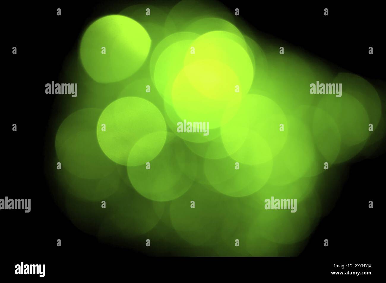 Verde luci sfocate, bokeh effetto. Foto reale dello sfondo. Isolato su nero Foto Stock