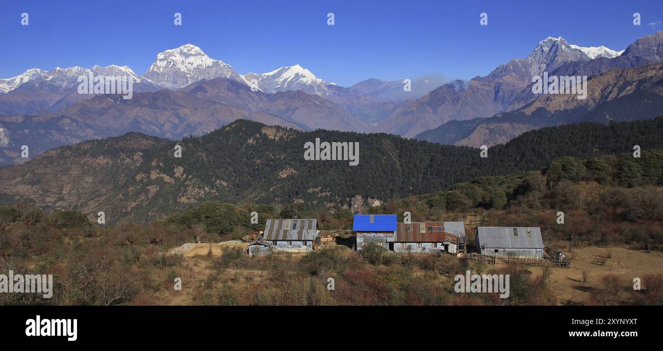 Scena sulla strada per Mohare Danda, Nepal. Dhaulagiri e Nilgiri. Hotel semplici Foto Stock