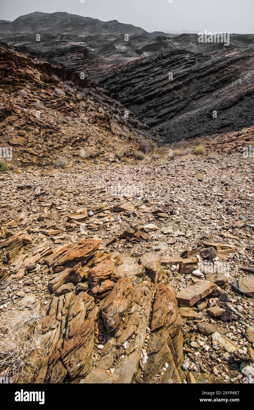 Il paesaggio roccioso inospitale del Parco Nazionale namib Nauklauft in Namibia con pochissime vegitazioni, per lo più succulente Foto Stock