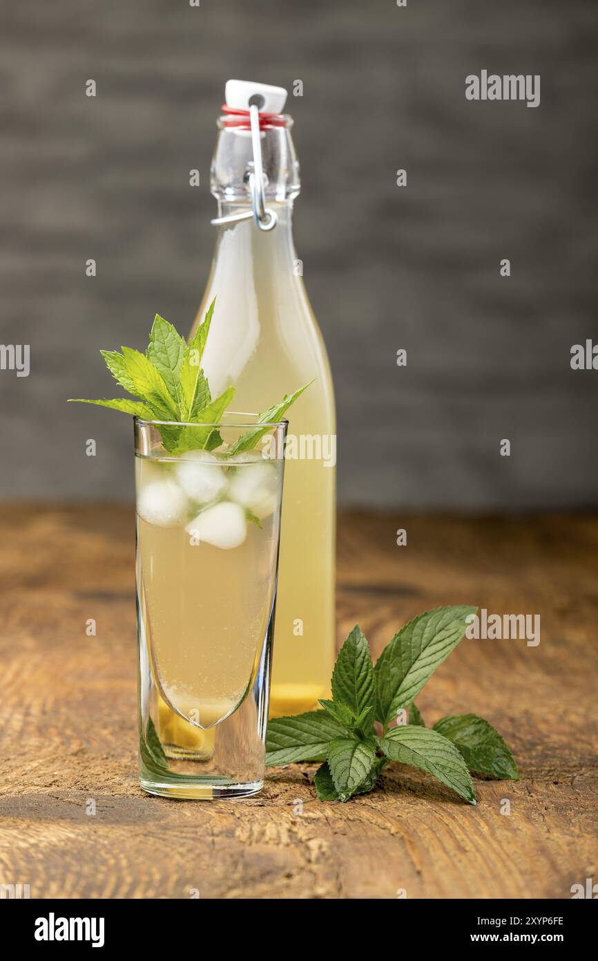 Limonata di zenzero fatta in casa con foglie di menta Foto Stock