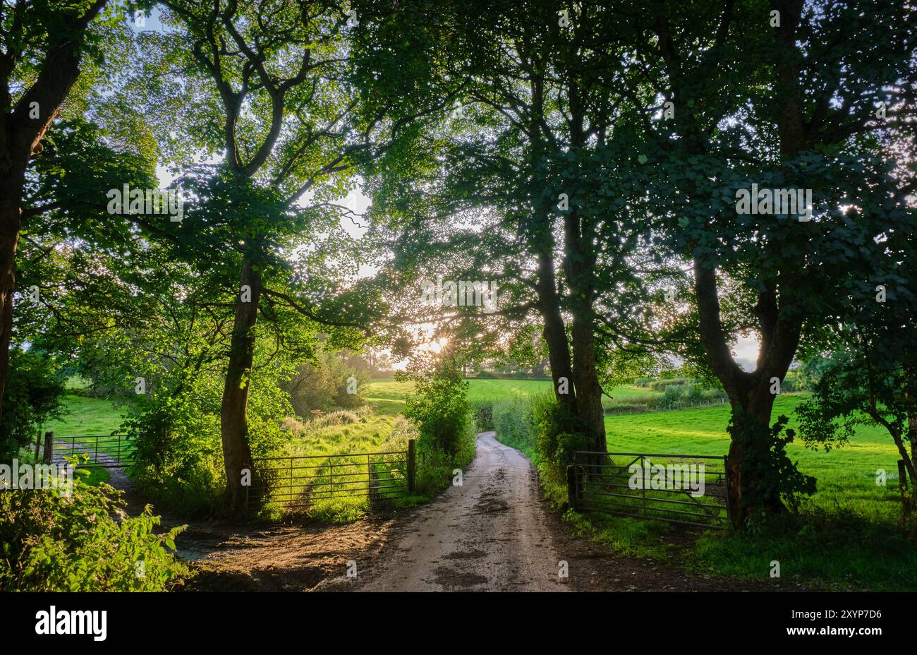Un sentiero a lunga distanza Pennine Journey vicino a Warcop, Cumbria Foto Stock