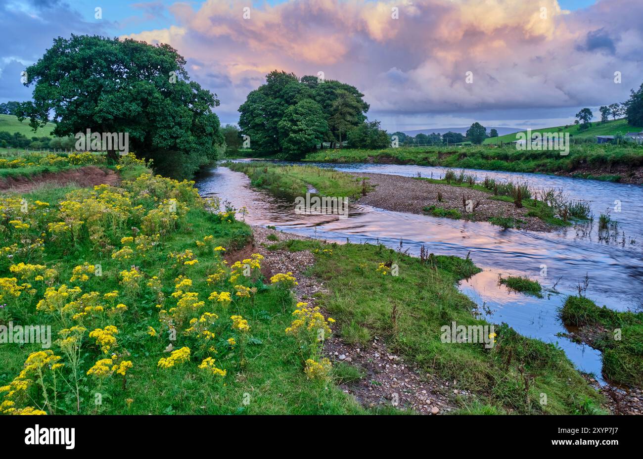 Il fiume Eden tra Sandford e Warcop, Cumbria Foto Stock