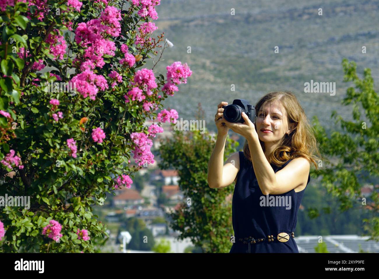 Donna con macchina fotografica che scatta foto ai fiori rosa di Lagerstroemia. Ritratto di una persona che si sta godendo un hobby all'aperto a Trebinje, Bosnia ed Erzegovina. Foto Stock