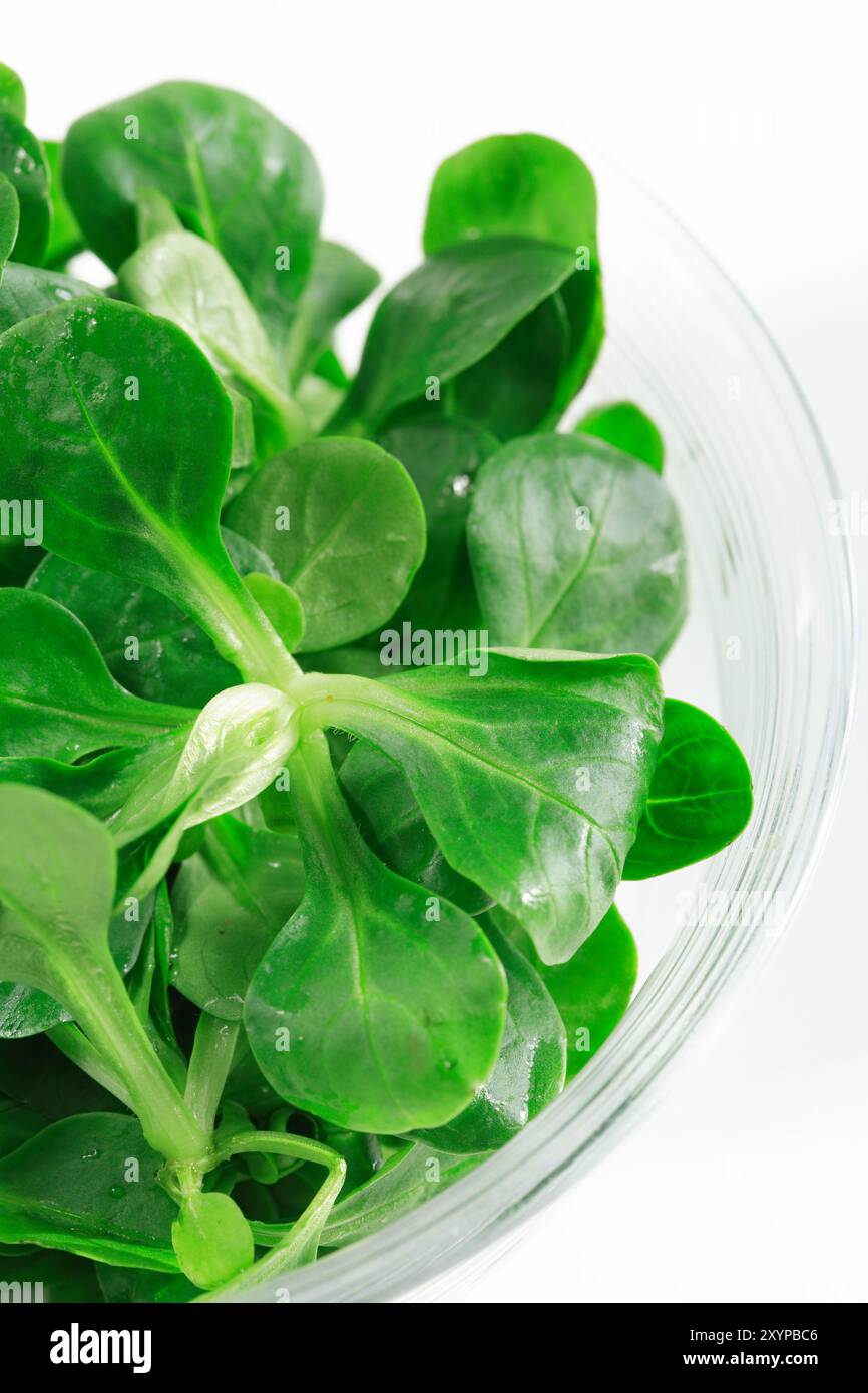 Foto del campo nella ciotola Foto Stock