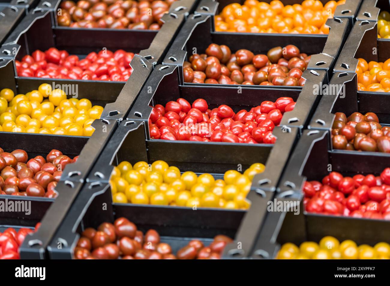 Pomodori in offerta al mercato di Amsterdam, Paesi Bassi Foto Stock