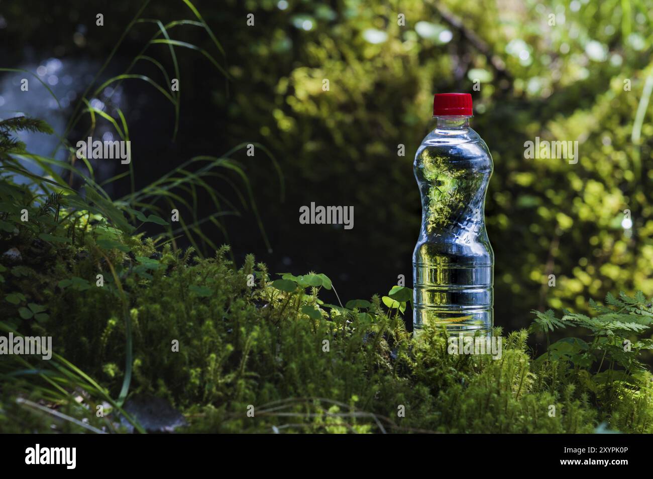 Plastica trasparente Una bottiglia d'acqua pulita con coperchio rosso si trova nell'erba e nel muschio sullo sfondo della vegetazione lussureggiante delle fortezze primaverili Foto Stock