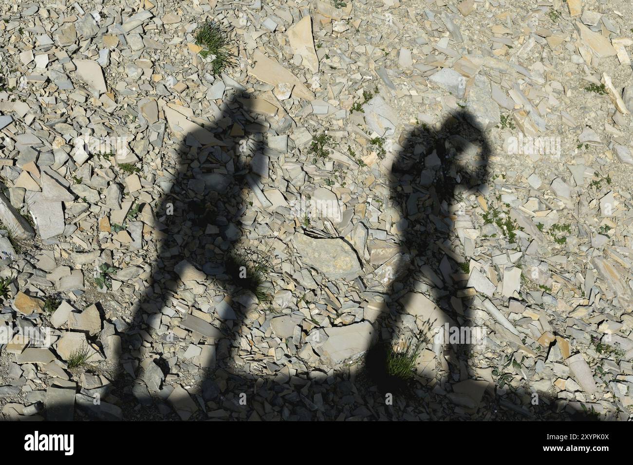 Due ombre di fotografi sulla terra in salita. Sagome di due persone che camminano in salita Foto Stock