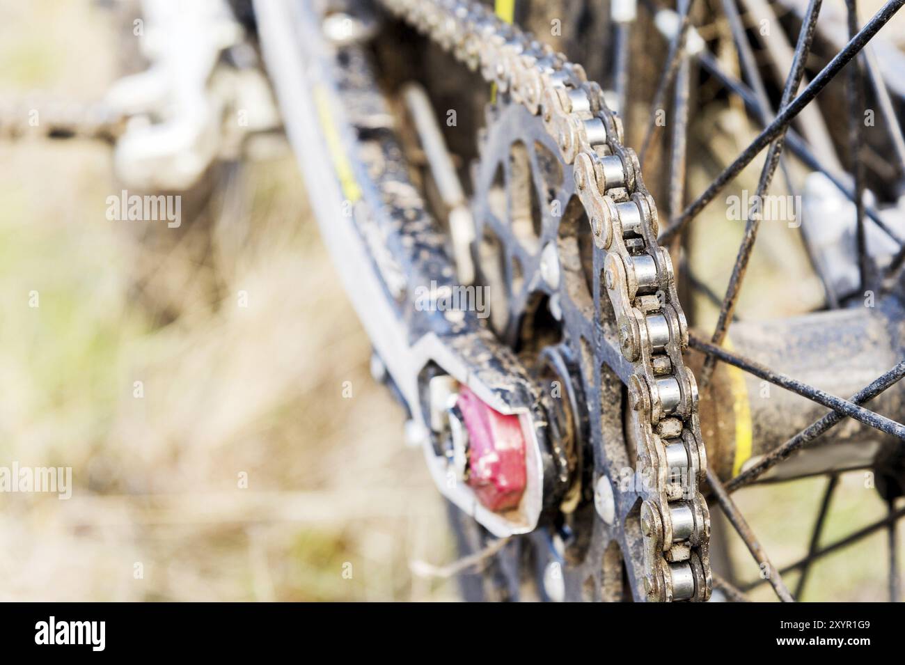 Moto posteriore di prova e enduro. Montato sulla ruota dentata e sulla catena a raggi. Primo piano della ruota posteriore di una motocicletta fuoristrada Foto Stock