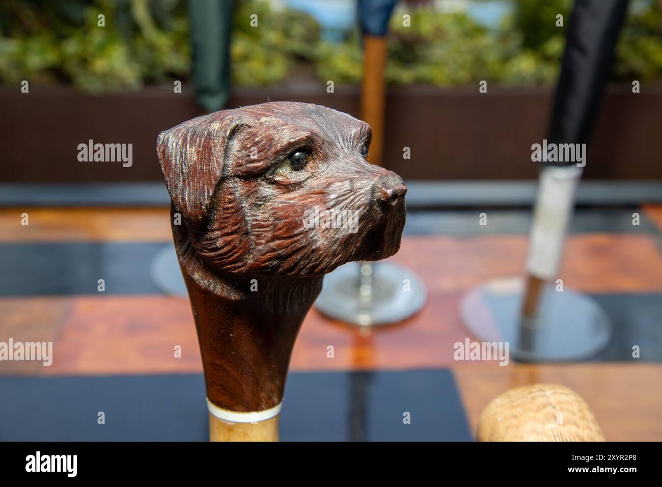Una vecchia canna da passeggio a forma di testa di cani Foto Stock