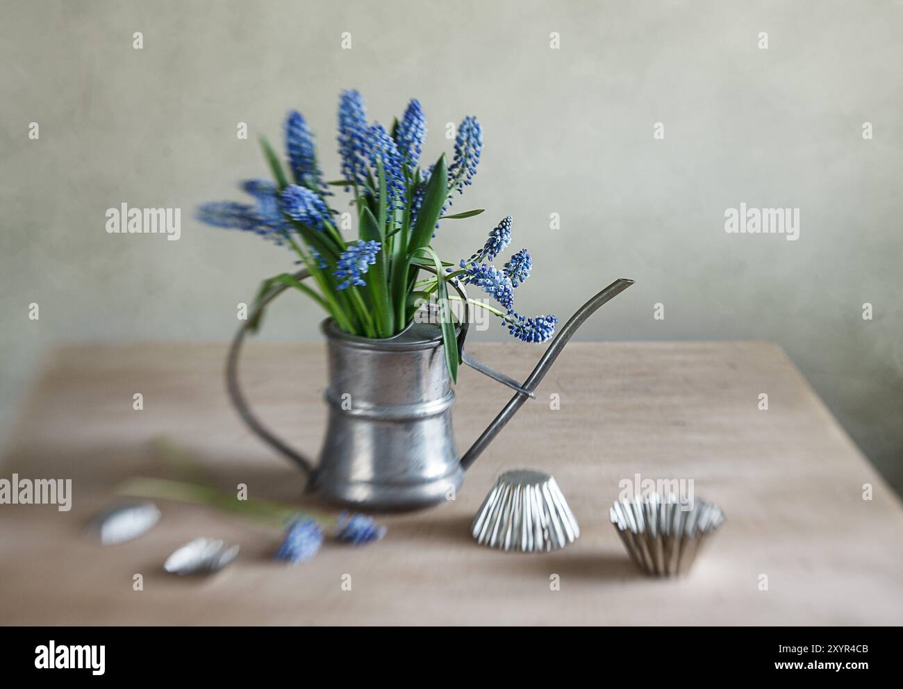 Natura morta decorativa con giacinti d'uva in un piccolo Foto Stock
